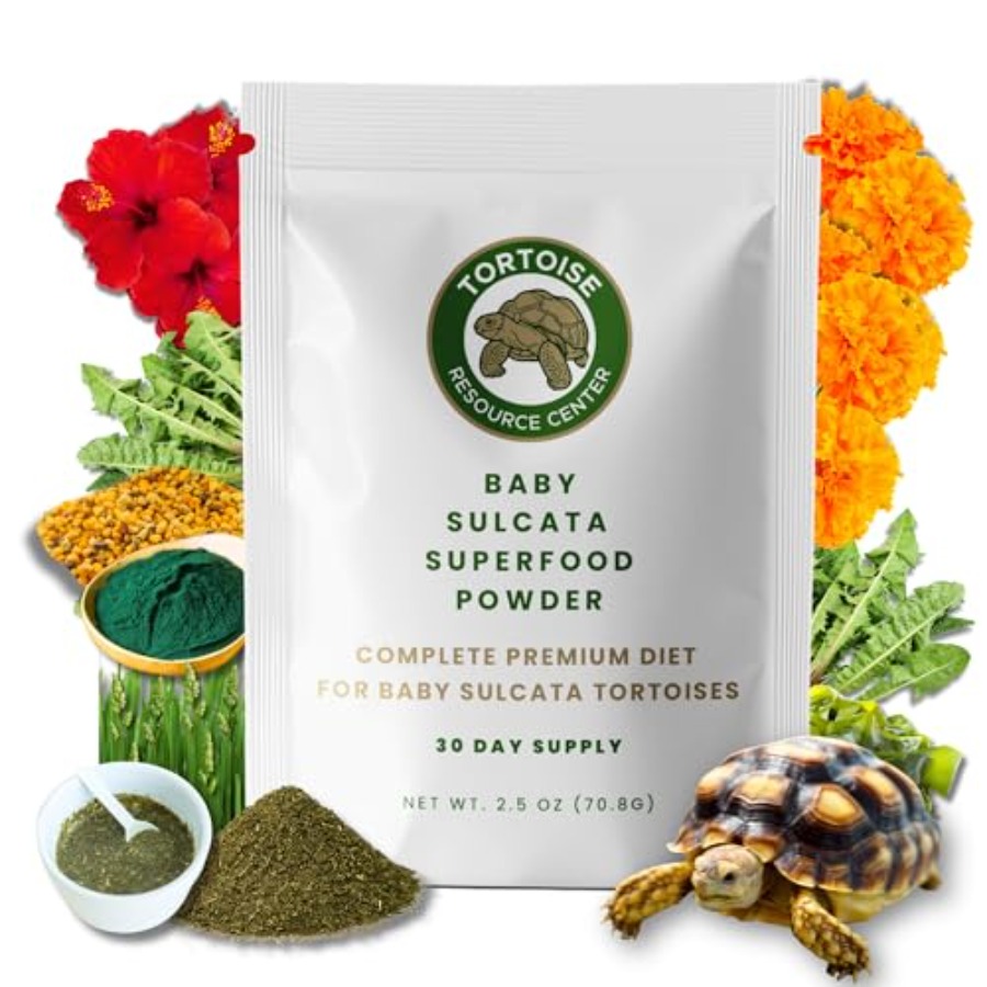 Baby Food Healthy - 【Spot goods】Baby Sulcata Food Powder with