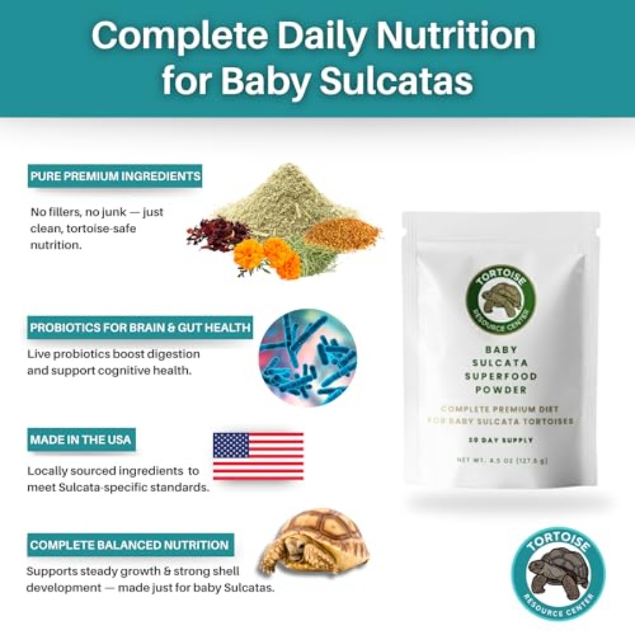 【Spot goods】Baby Sulcata Food  - Baby Food Healthy ulasan dan harga