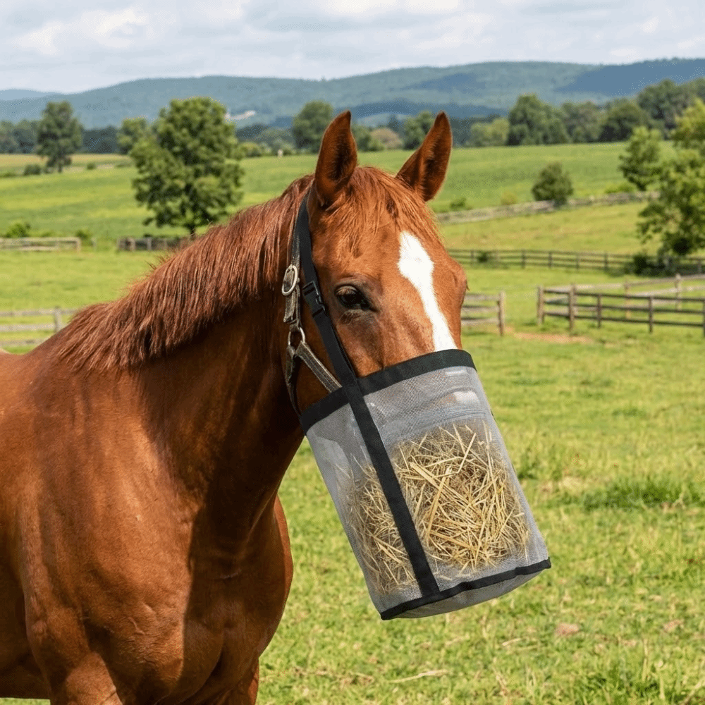 Portable Leak-Proof Horse Feed - Mesh Feeder Bag ulasan dan harga