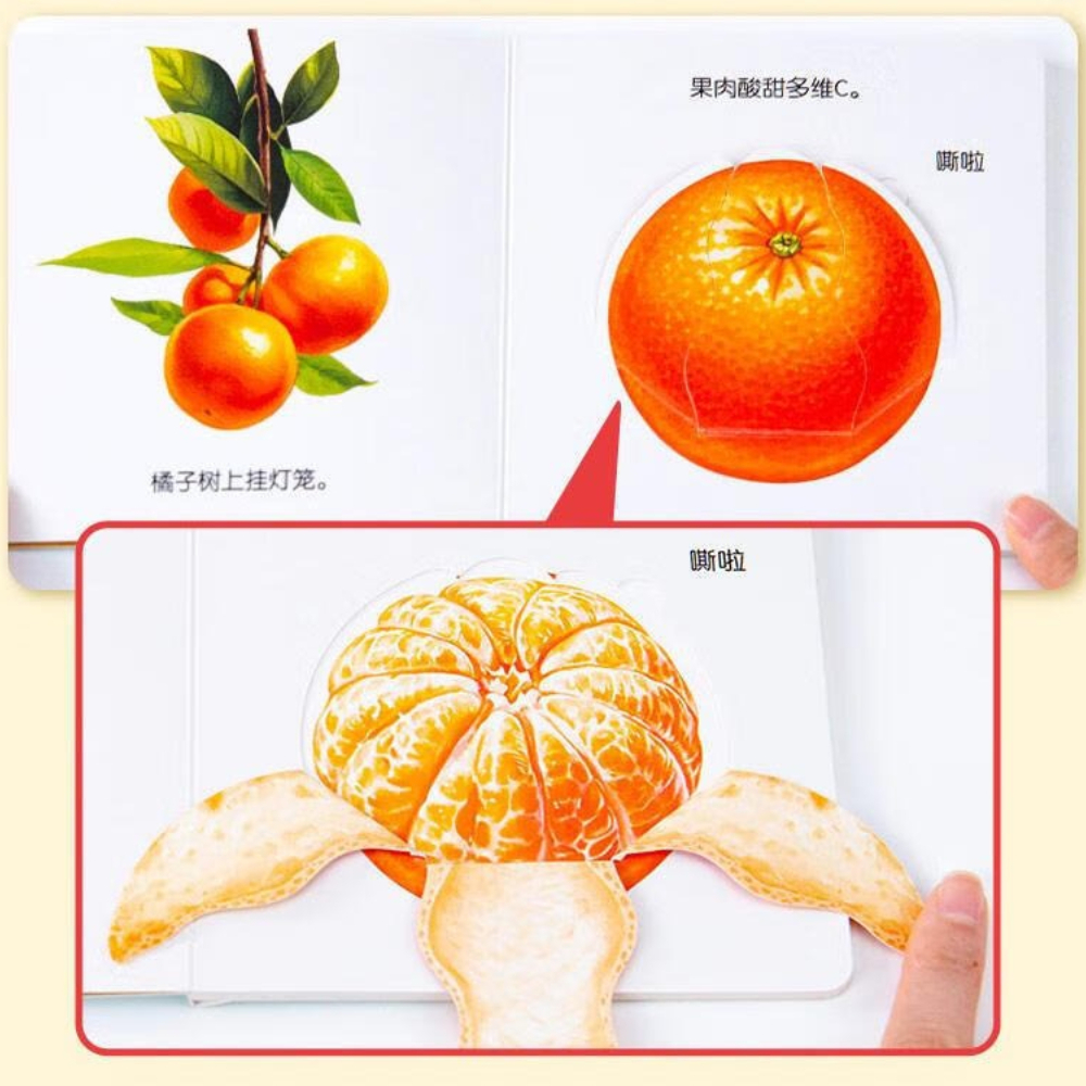 Preschool Food Education Flipp - Baby Food Age ulasan dan harga