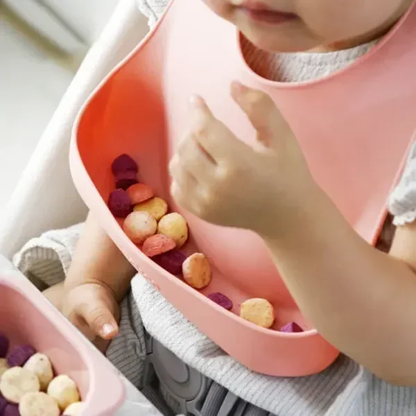 Food Grade Silicone Child Dish - Baby Food Universe ulasan dan harga