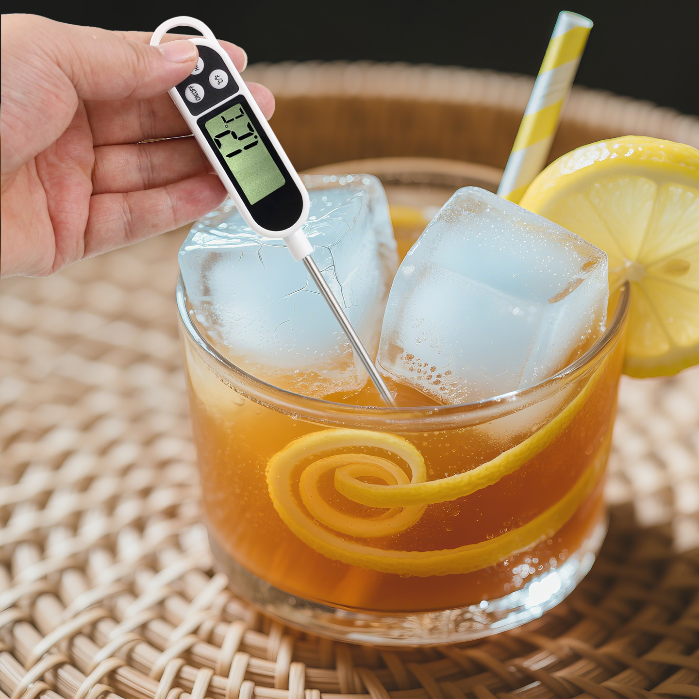 High-Precision Digital Food Th - Baby Food For 2 Year Old ulasan dan harga