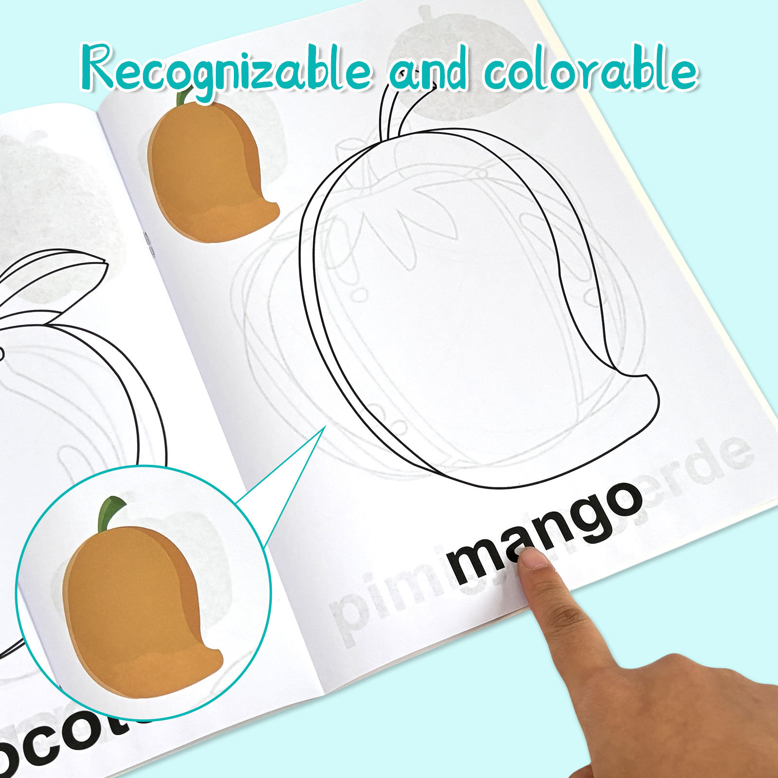 4 Pack Spanish Vocabulary Colo - Baby Food Age ulasan dan harga
