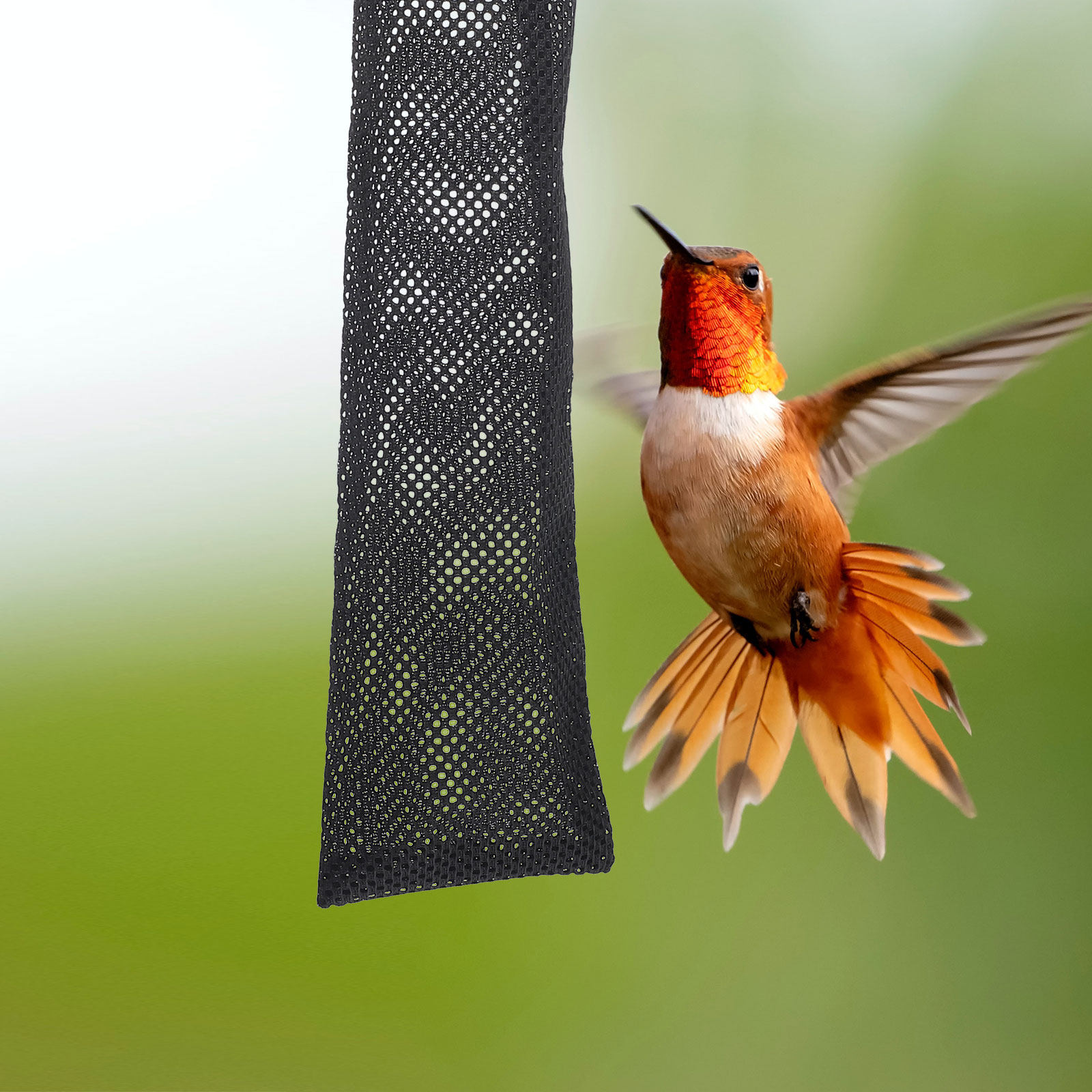 6Pcs Nylon Bird Feeding Bags D - Mesh Feeder Bag ulasan dan harga