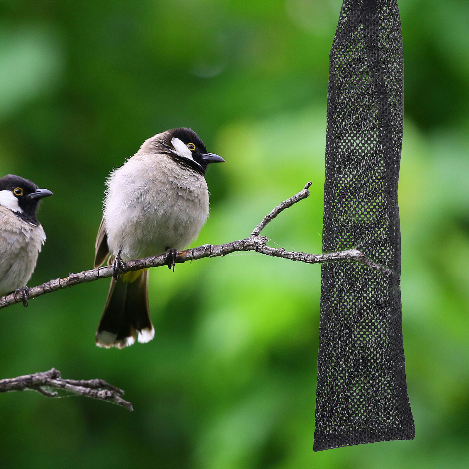 6Pcs Nylon Bird Feeding Bags D - Mesh Feeder Bag ulasan dan harga