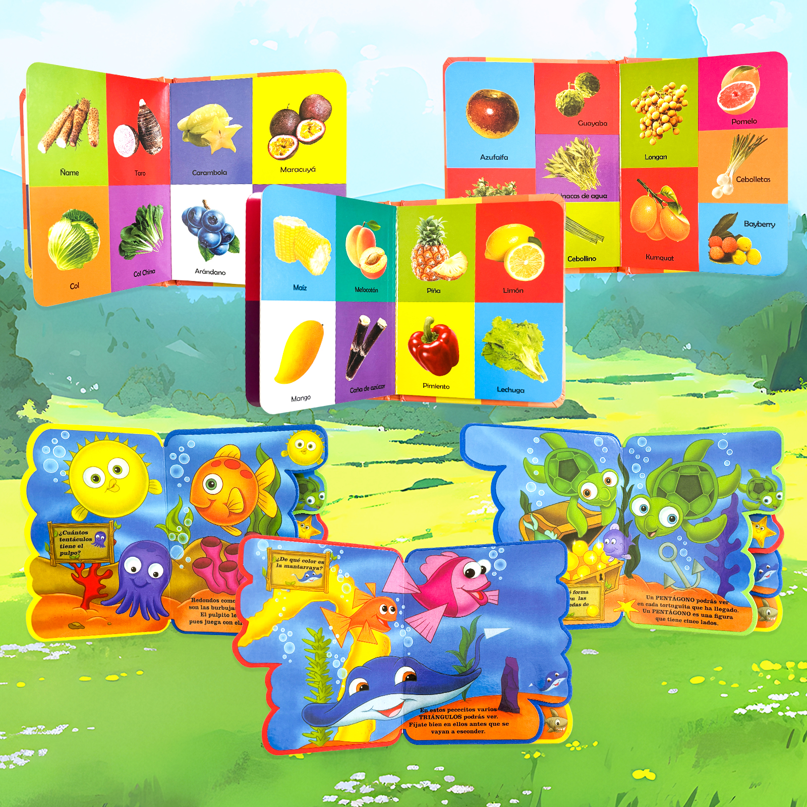 1 Set 2 Pieces Sponge Enlighte - Baby Food Age ulasan dan harga